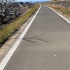 入間川CR &ナイトクロス