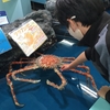 明けましておめでとうございます🎍