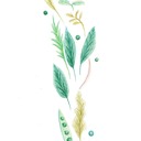 植物研究・ナチュラルスローライフ