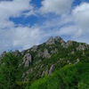 緑が彩る奥秩父の「岩の要塞」・シャクナゲ咲く初夏の山旅 ＠瑞牆山