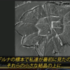 2022/11/20までの記事。コロワクには、生理食塩水のロットもあり、それ以外のロットに入っていたもの。