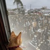 低気圧が悪い