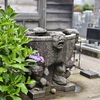 寺町寺院群をあるけば「三光寺・願念寺」