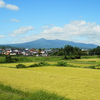 きょうは天気がいいから、“ワイフ君”をどっかへ連れてってやろうかな・・・