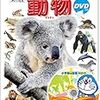 1歳児とのお家遊び～子どもが一人で遊べるものと親子で取り組む遊びの両方を用意して心に余裕をもつ～