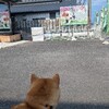 心配な高橋選手とうめちゃん