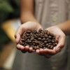 コーヒーの知られざる真実と五感を刺激する体験の提案