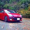 天城山の紅葉