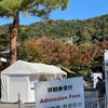 京都、紅葉の永観堂禅林寺