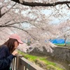 サンドウィッチとお花見と🌸