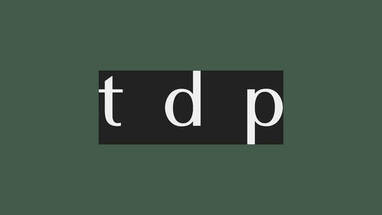 ネイルチップ作家を始めました