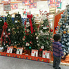 クリスマスツリーは何センチがおススメ！？
