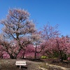 まだまだ居ります「鈴鹿の森庭園」