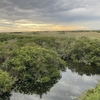 【旅行記】フロリダ・エバーグレーズ国立公園（前編）｜年末年始のアメリカ縦断ロードトリップ②