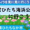 青の絨毯・ひたち海浜公園にネモフィラを見に行こう！