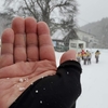 菅平高原だけ雪が降っているという不思議な冬だから