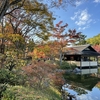 11月 紅葉散歩 : 東京都内の紅葉スポット「昭和記念公園 」おすすめの場所（見どころ）/ 関東近郊 11月に紅葉する木　