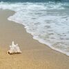 鼓ヶ浦駅は寺中心のエリアだった。駅名は海水浴場と同じで、地名にはない理由