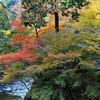 京都の紅葉 【神護寺 ⅰ/ⅱ】