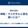 海の神秘：ウミホタルと夜光虫の違いとは？