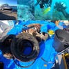 美ら海クリーン活動2022