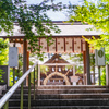 茅の輪くぐり：櫛田神社