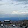 富士山サイクルロードレース（決勝）