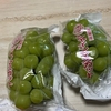 美味しい頂き物😋