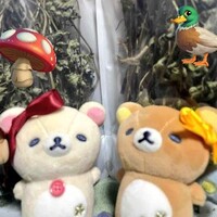 モニターの音が途切れるまでは