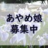 キレイな花に華を添えませんか？