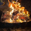 🔥2025年注目のキャンプスタイル：ブームの先へ、深化するアウトドア文化