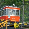 秋の箱根旅『箱根登山鉄道 宮ノ下～小涌谷駅間　小涌谷踏切』