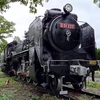 【保存車】D51 222 沖縄県那覇市