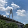 ぶら多摩川 大師橋⇄六郷橋 ^_^