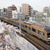 東横線の桜と初顔合わせ