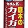 2014/05/17　JFKの具合が良く無さそうなので根元の樹皮をめくると×コウモリガの幼虫　カミキリの幼虫(>_<)