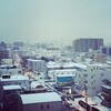 ＊雪が積もりました＊