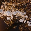 先週のランニング