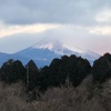 今朝の景色