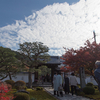 京都の紅葉2014・圓光寺