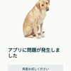 プライムデーに乗せられて買ってしまったもの