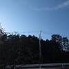 今朝の月