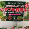 ダイソーの花と野菜の種 2022年 春もうすぐ販売開始