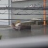 窓から