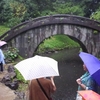 雨降っても花なくても庭園の趣に満足　小石川後楽園