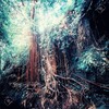 閑話小題～　年齢を重ねるにつれて