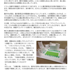 鵠沼景観まちづくり会