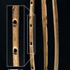 Bone flute was revealed to be humanity's oldest musical instrument.