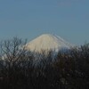 箱根駅伝往路と富士