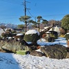 春待ち雪❄雪解け